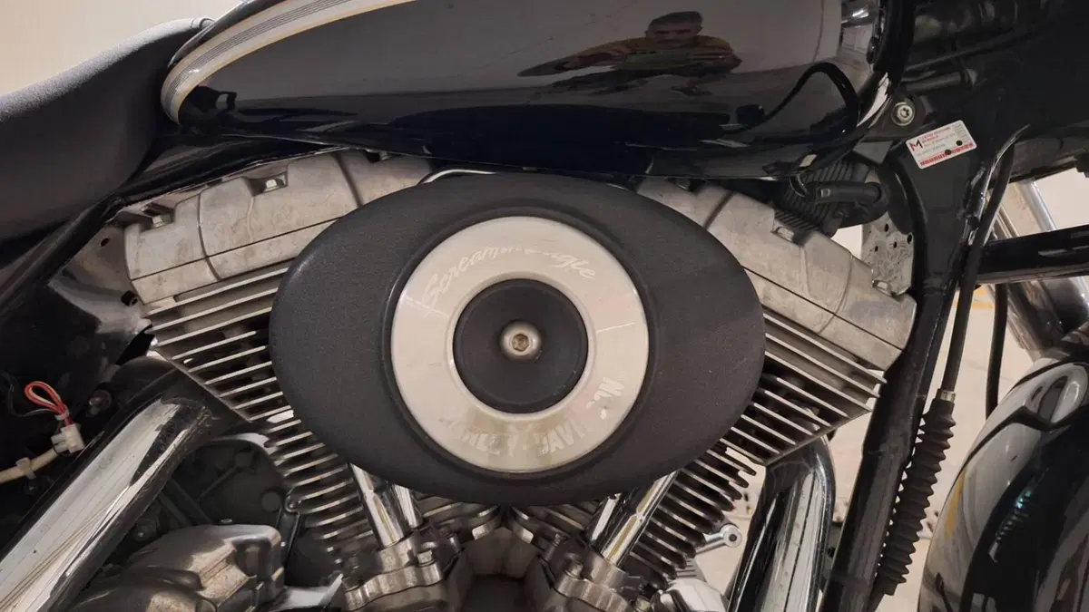 Harley-Davidson 1450 Electra Glide Standard (2002 - 09) - FLHTC (5)