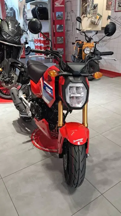 Honda MSX 125 Grom (2021 - 26) nuova