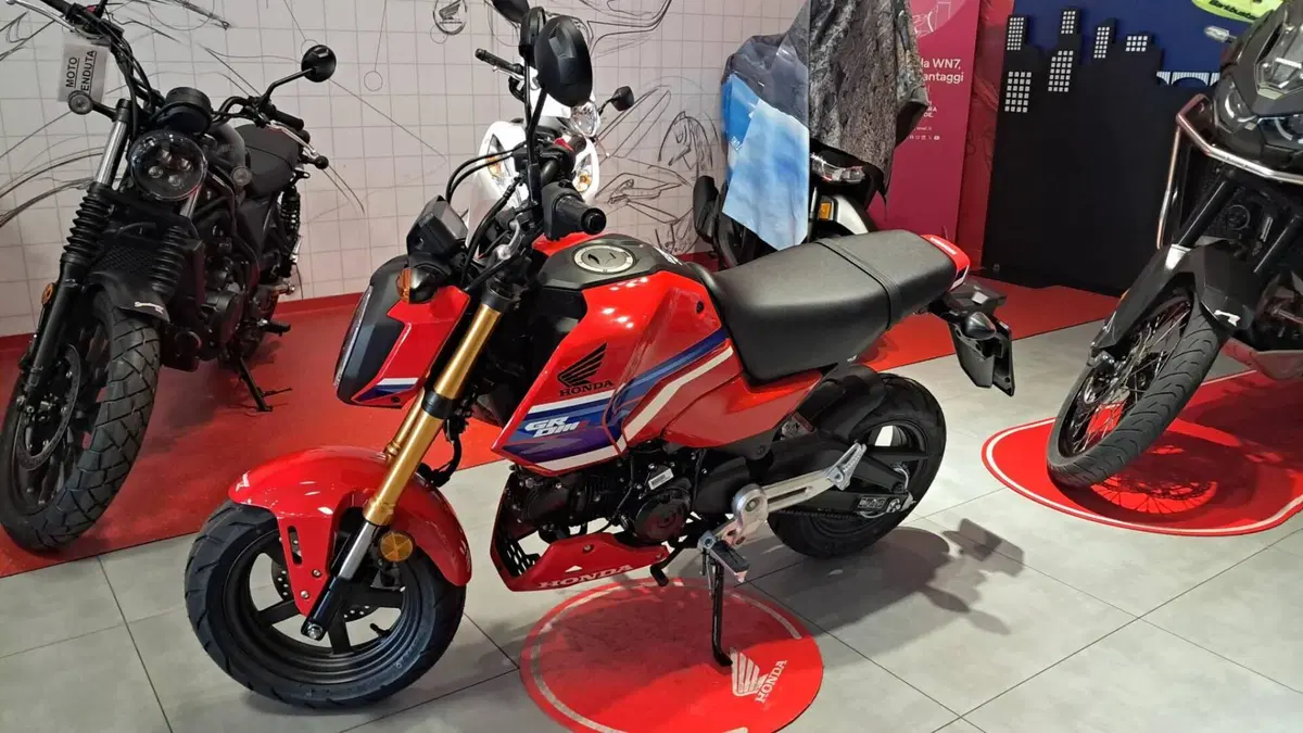 Honda MSX 125 Grom (2021 - 26) (2)