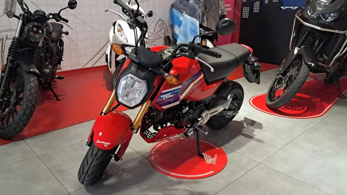 Honda MSX 125 Grom (2021 - 26) (3)