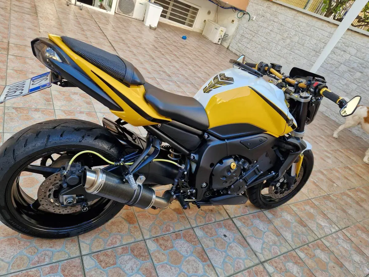 Yamaha FZ1 (2006 - 16) (3)