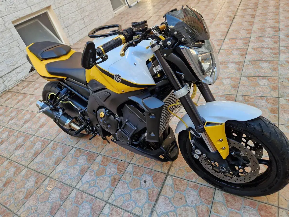 Yamaha FZ1 (2006 - 16) (4)