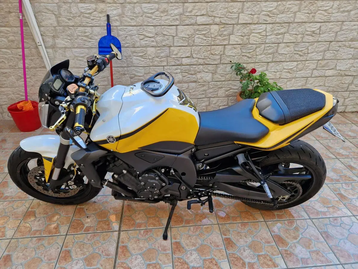 Yamaha FZ1 (2006 - 16) (10)