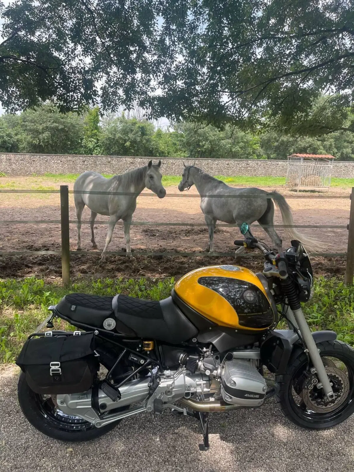 Bmw R 1100 R ABS (12)
