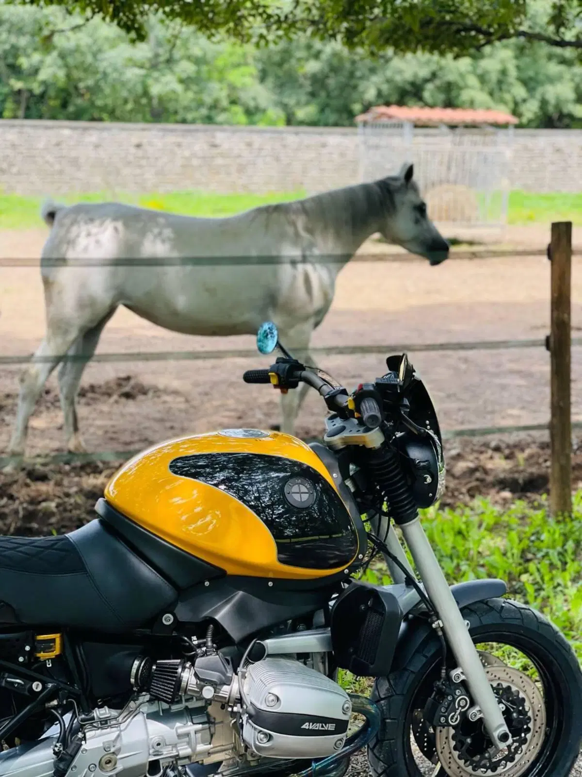 Bmw R 1100 R ABS (13)