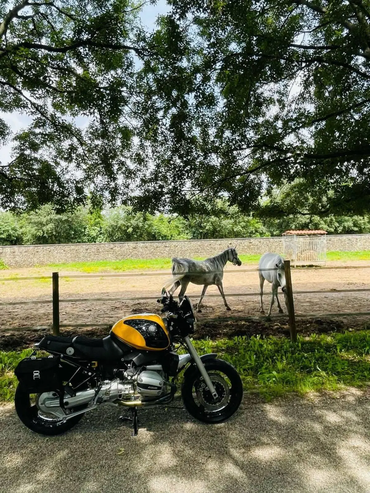 Bmw R 1100 R ABS (15)