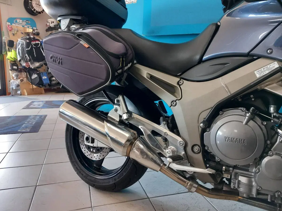 Yamaha TDM 900 (2002 - 14) (14)