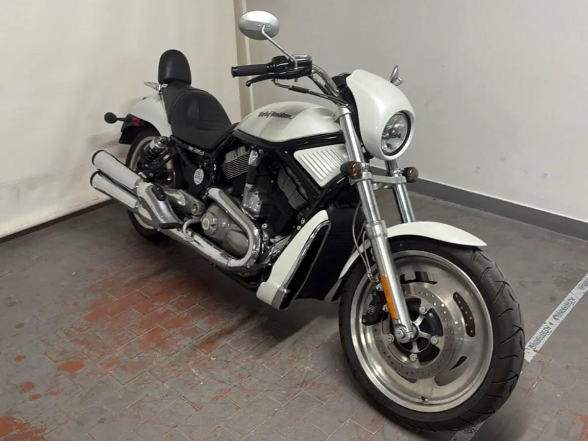 Harley-Davidson 1130 V-Rod (2006) - VRSCA (3)