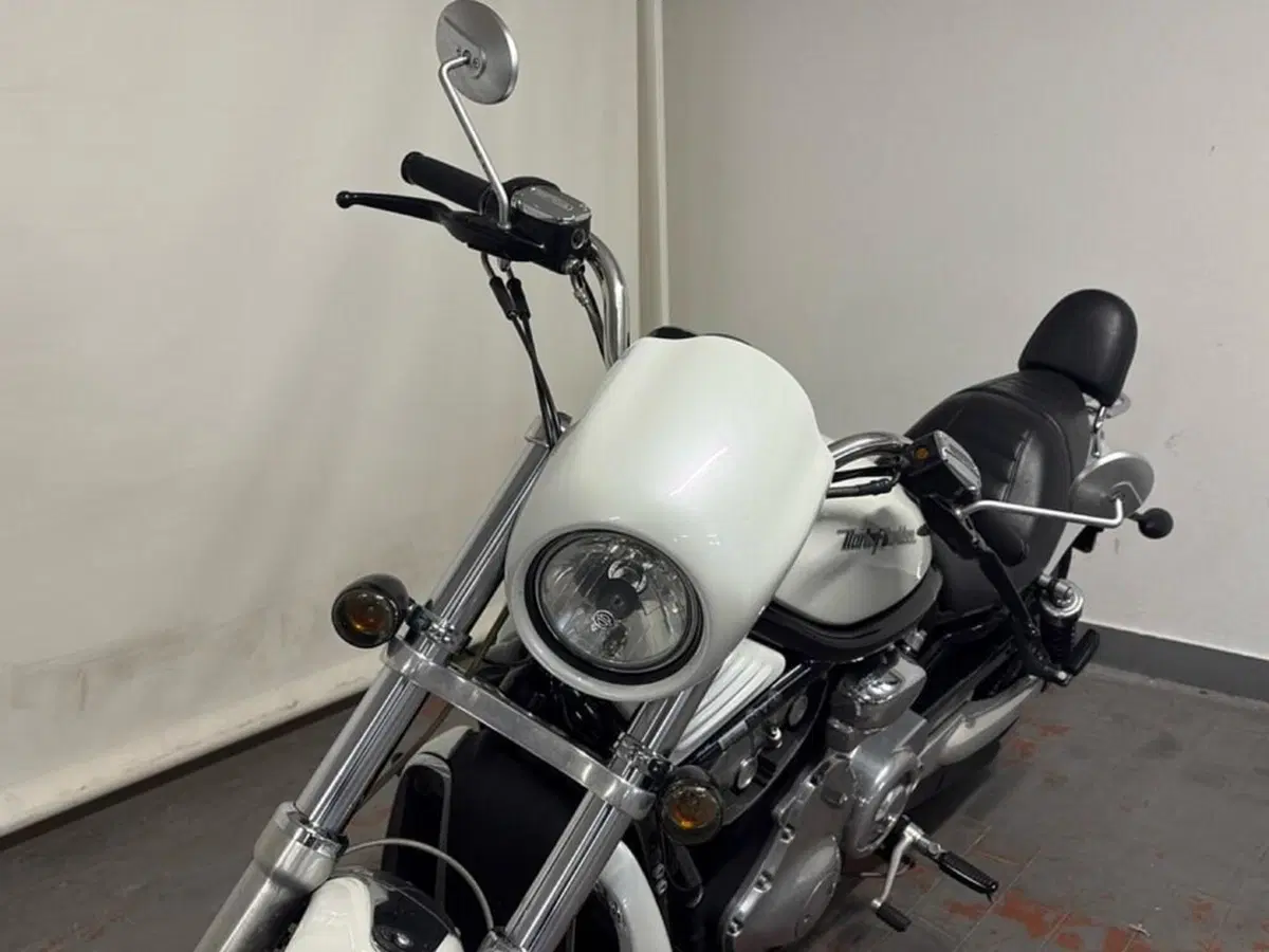 Harley-Davidson 1130 V-Rod (2006) - VRSCA (9)