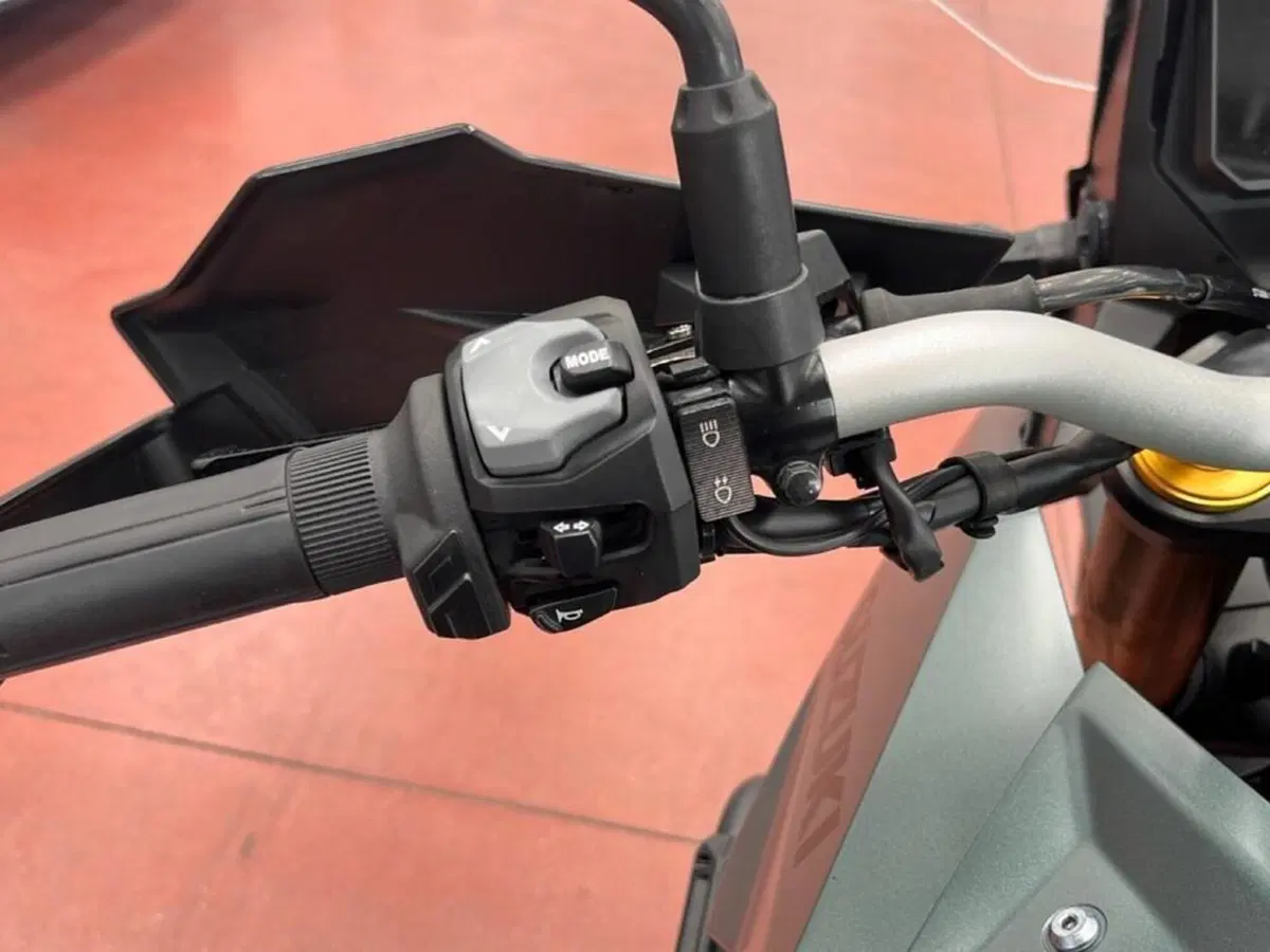 Suzuki V-Strom 800DE (2023 - 24) (9)