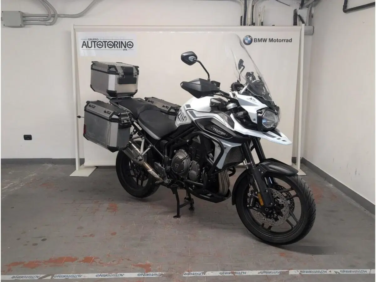 Triumph Tiger 1200 Alpine Edition (2020) (3)