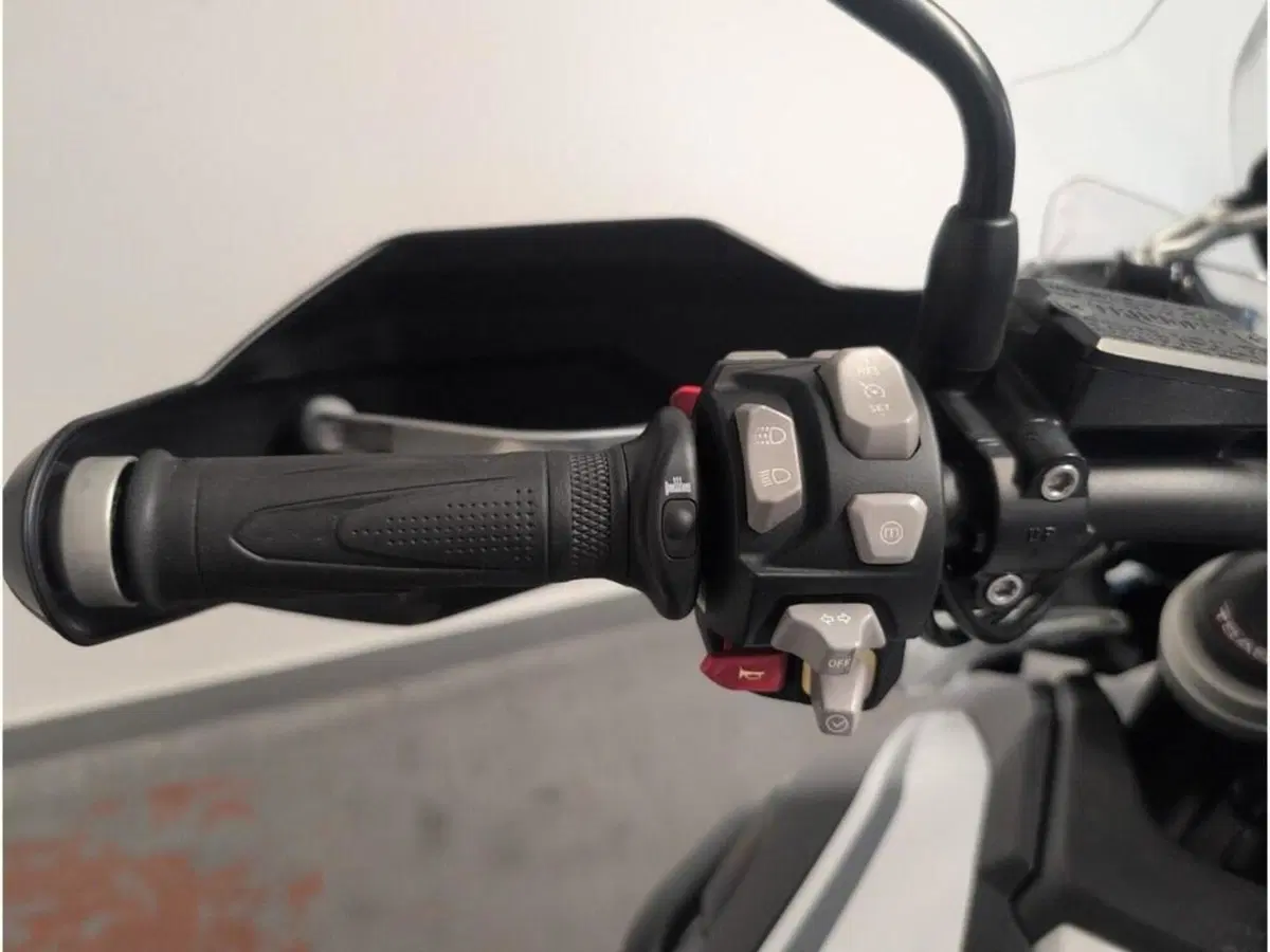 Triumph Tiger 1200 Alpine Edition (2020) (9)