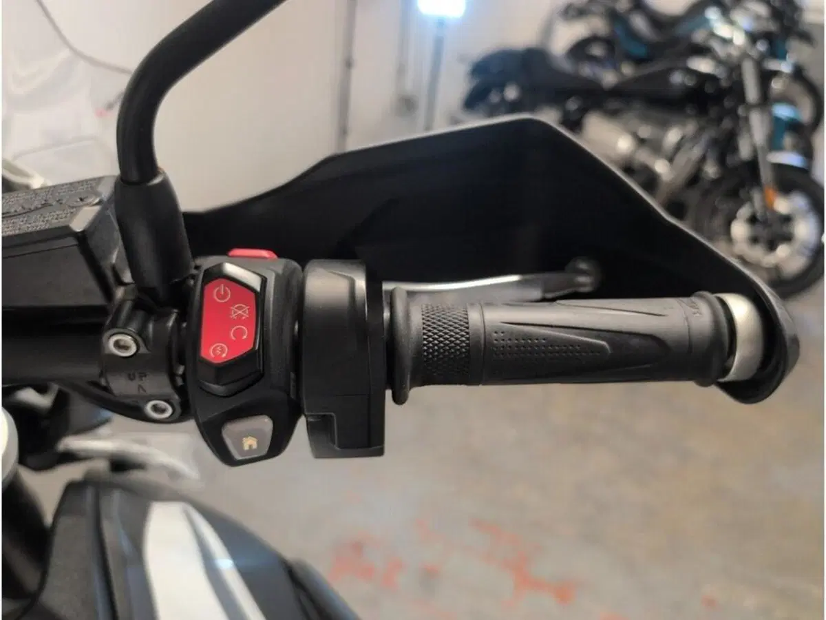 Triumph Tiger 1200 Alpine Edition (2020) (10)