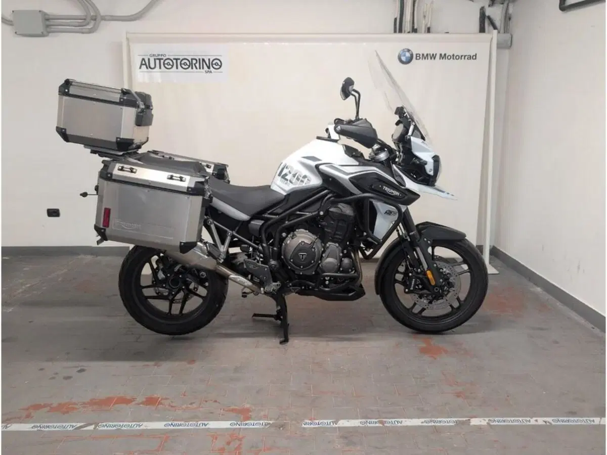Triumph Tiger 1200 Alpine Edition (2020) (8)