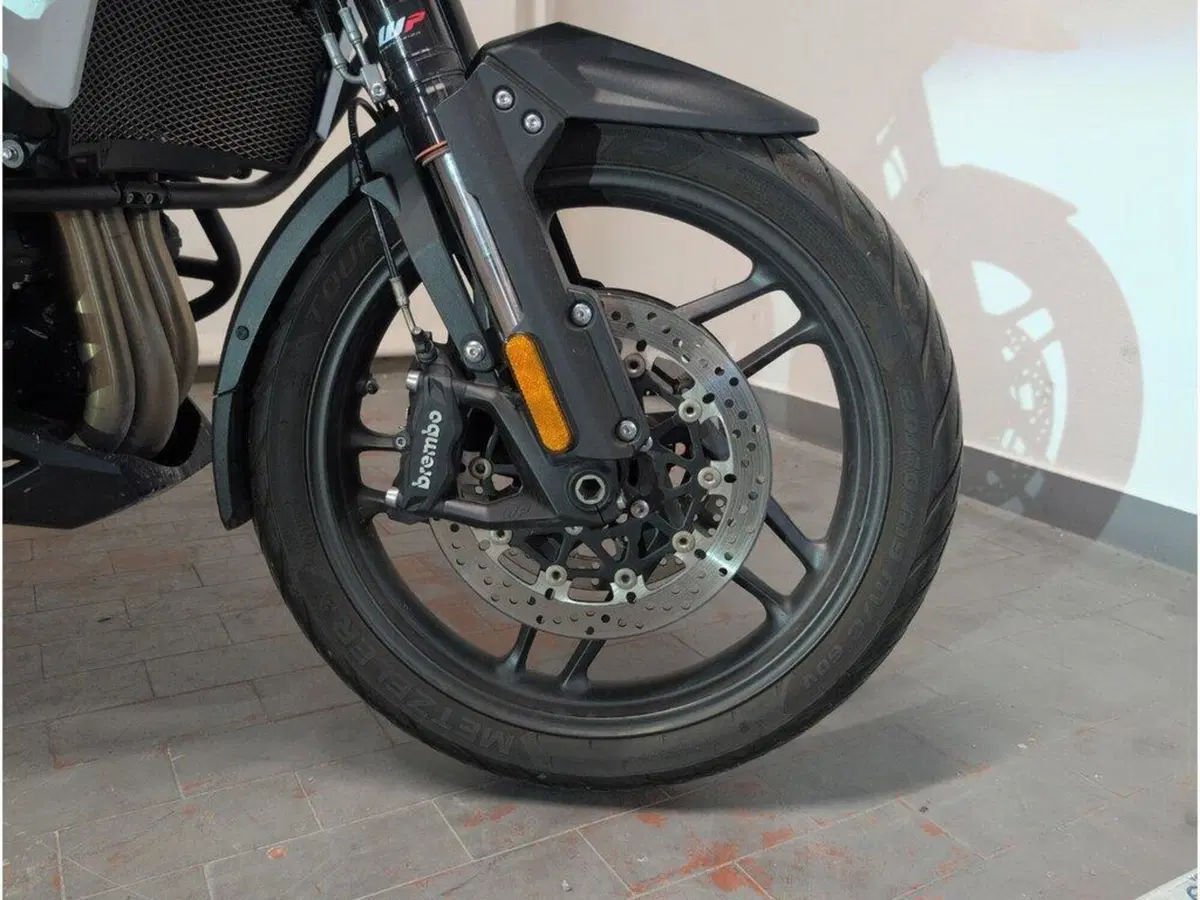 Triumph Tiger 1200 Alpine Edition (2020) (13)