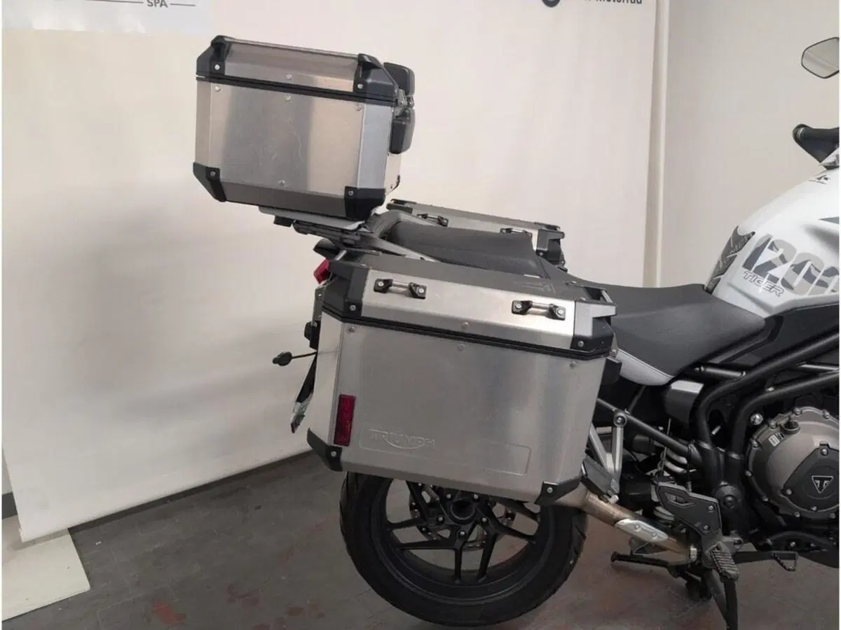 Triumph Tiger 1200 Alpine Edition (2020) (12)