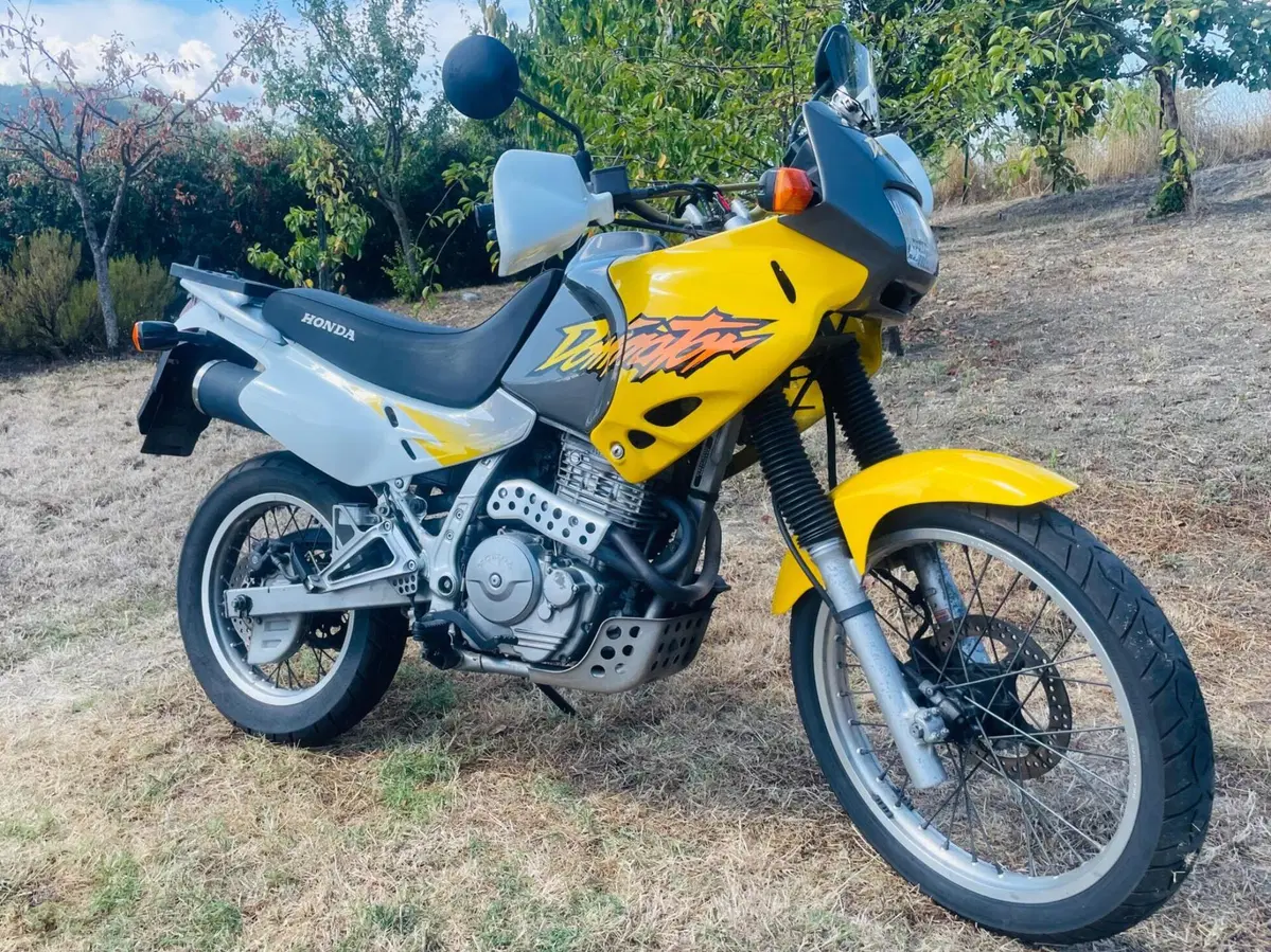 Honda NX650 Dominator (2)