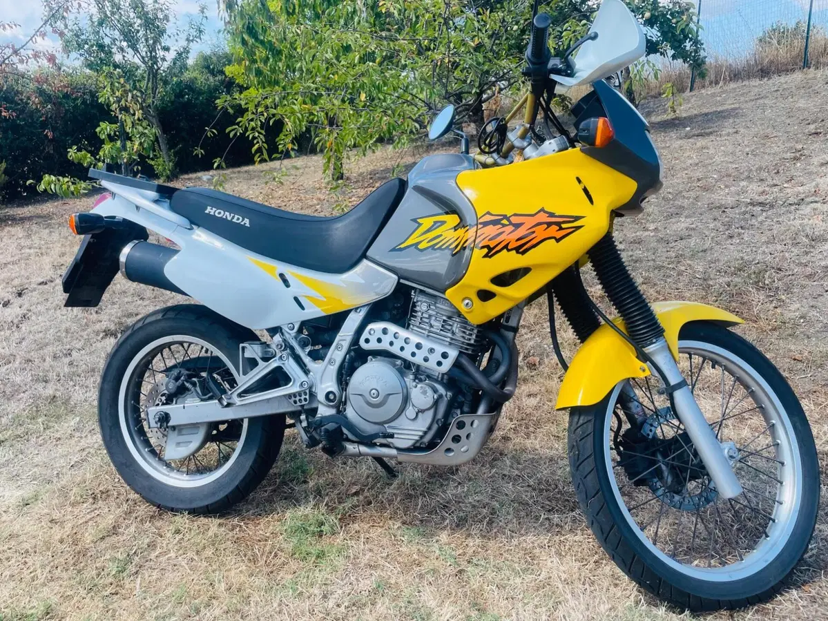 Honda NX650 Dominator (3)