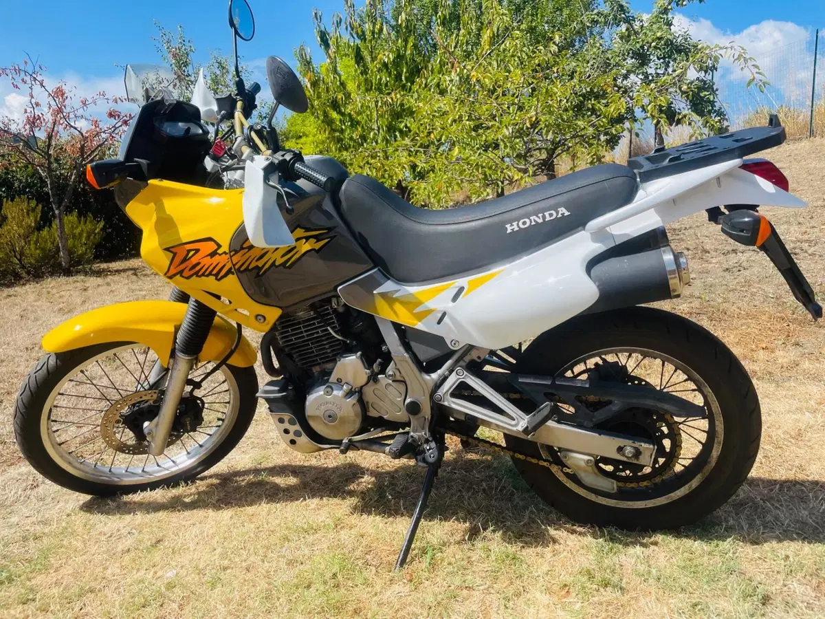 Honda NX650 Dominator (4)