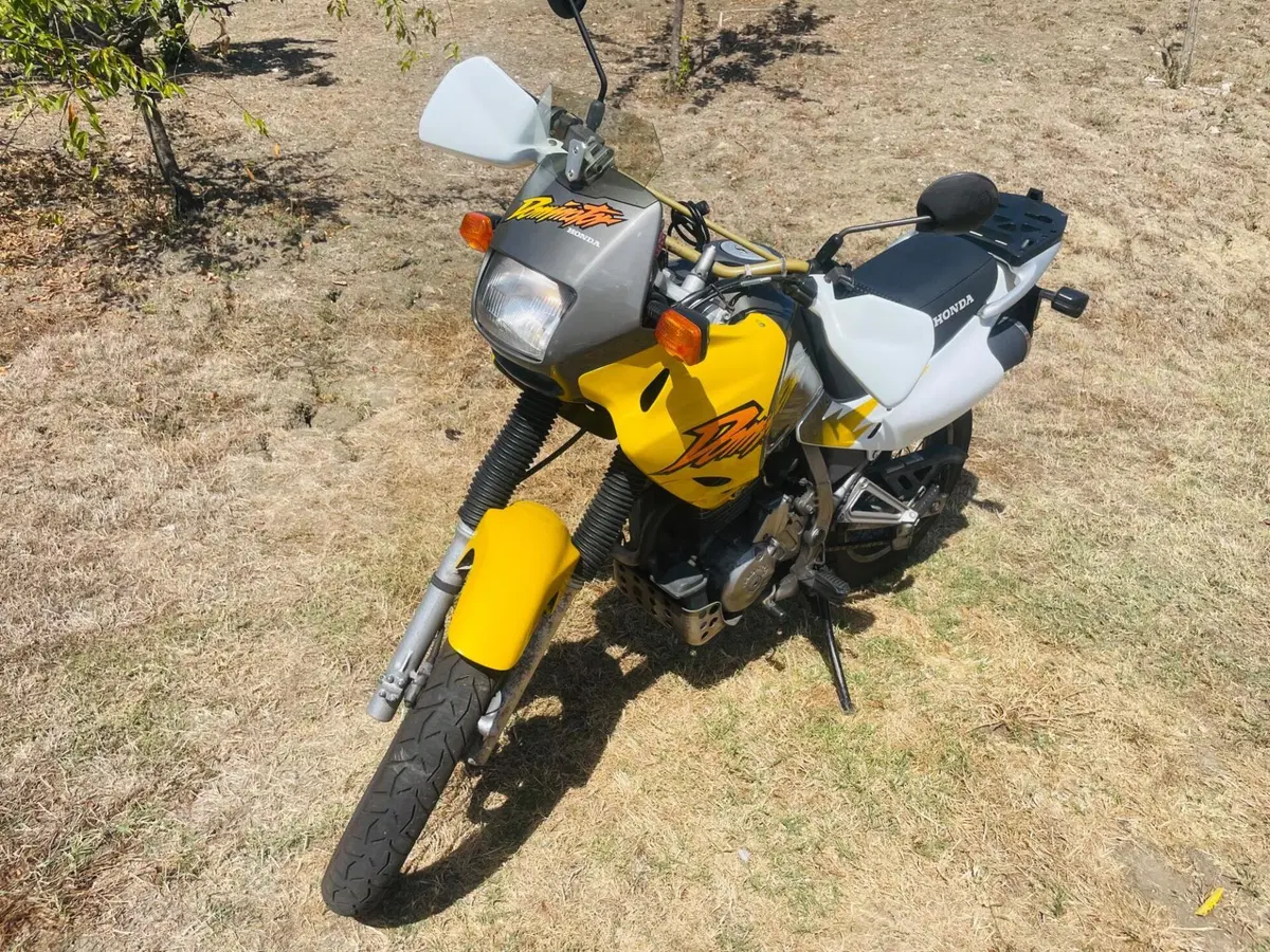 Honda NX650 Dominator (5)