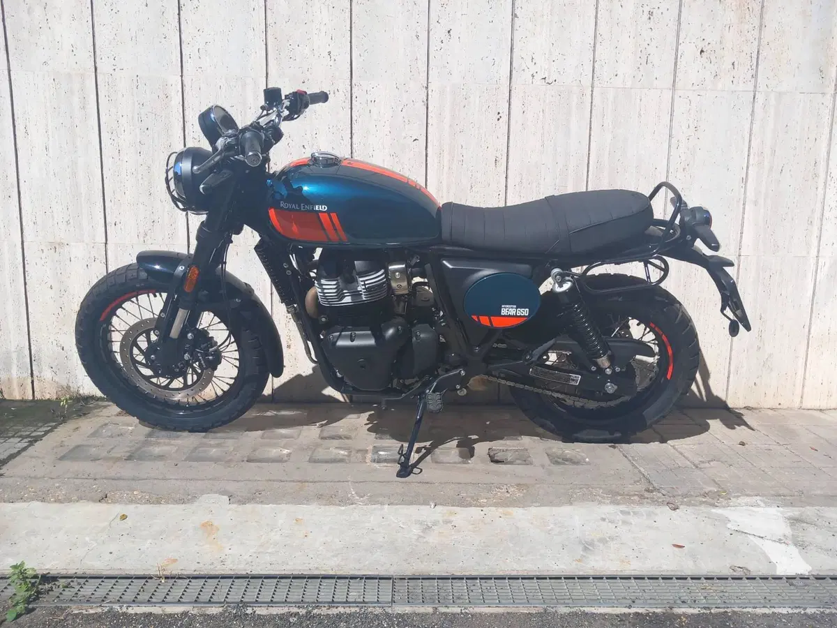 Royal Enfield Bear 650 (2025 - 26) (4)