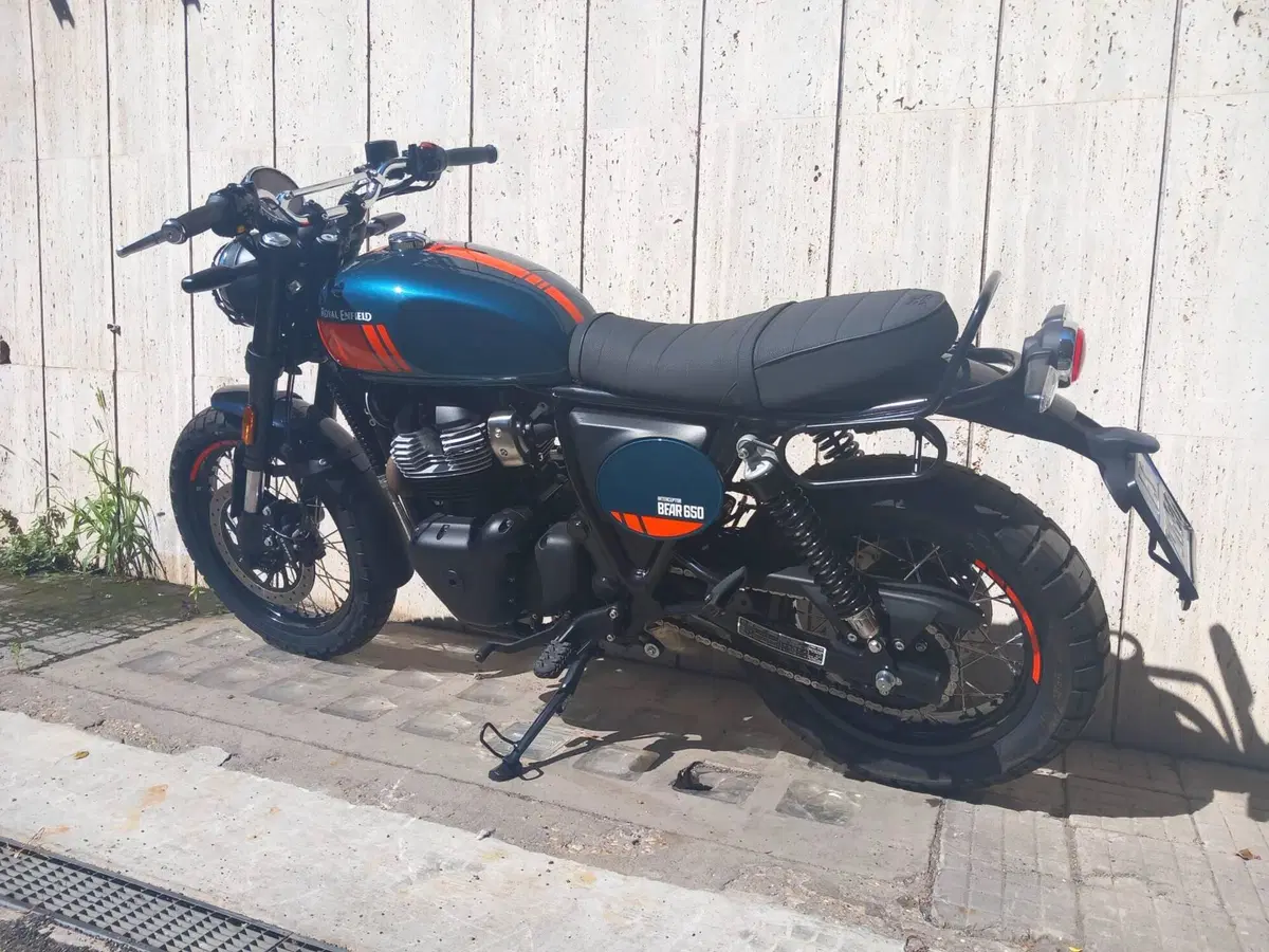 Royal Enfield Bear 650 (2025 - 26) (5)