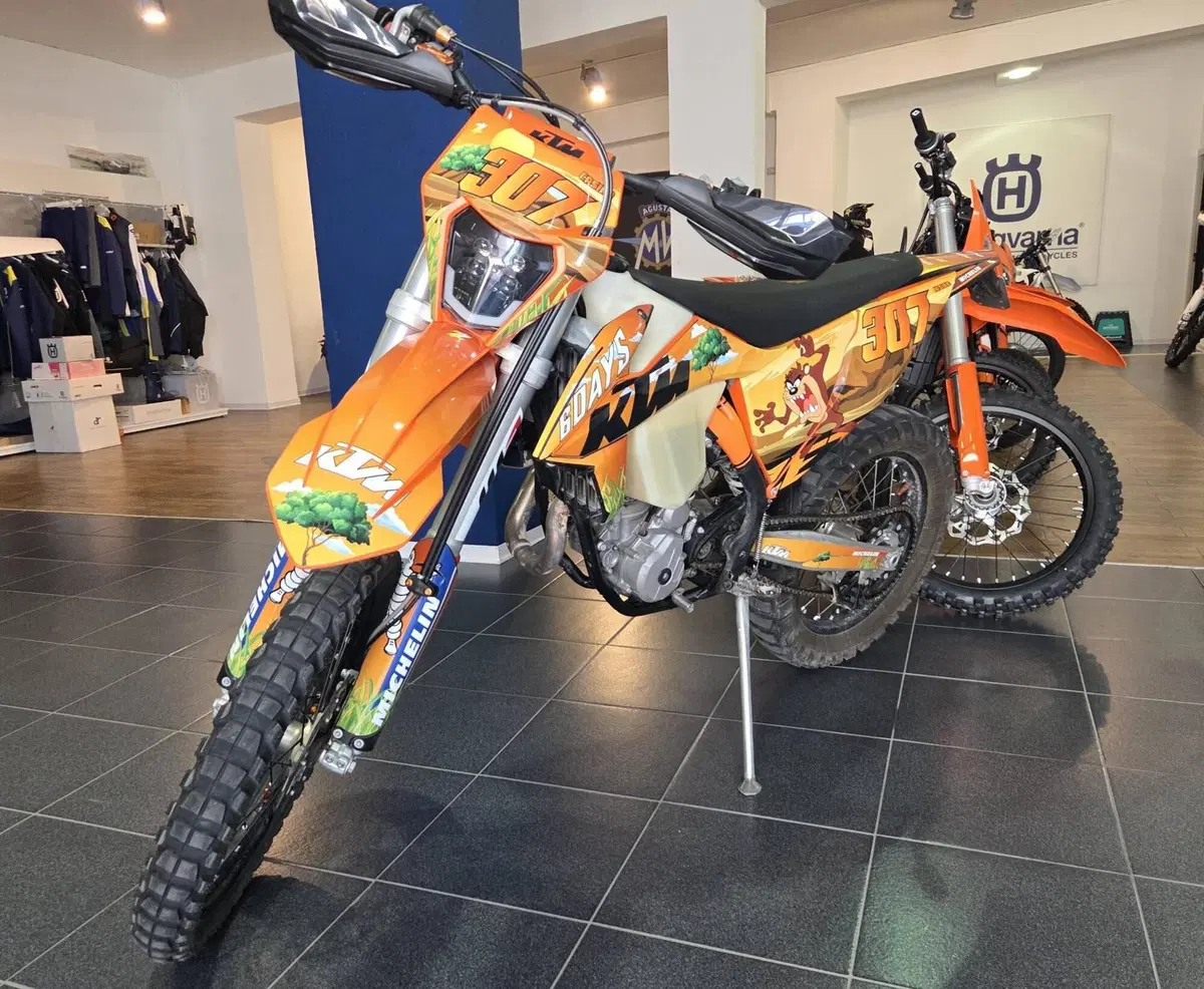 KTM 250 EXC-F (2020) (5)