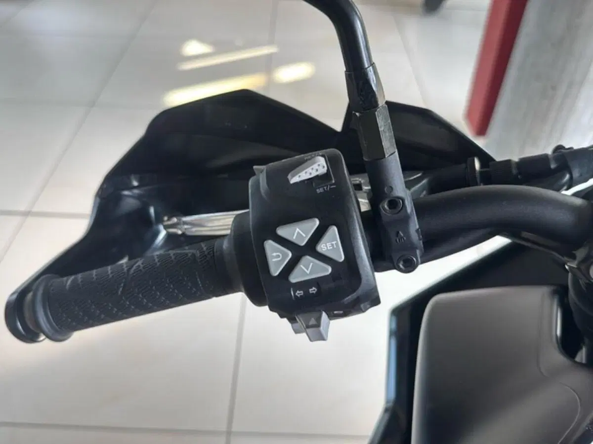 KTM 890 Adventure (2021 - 22) (9)