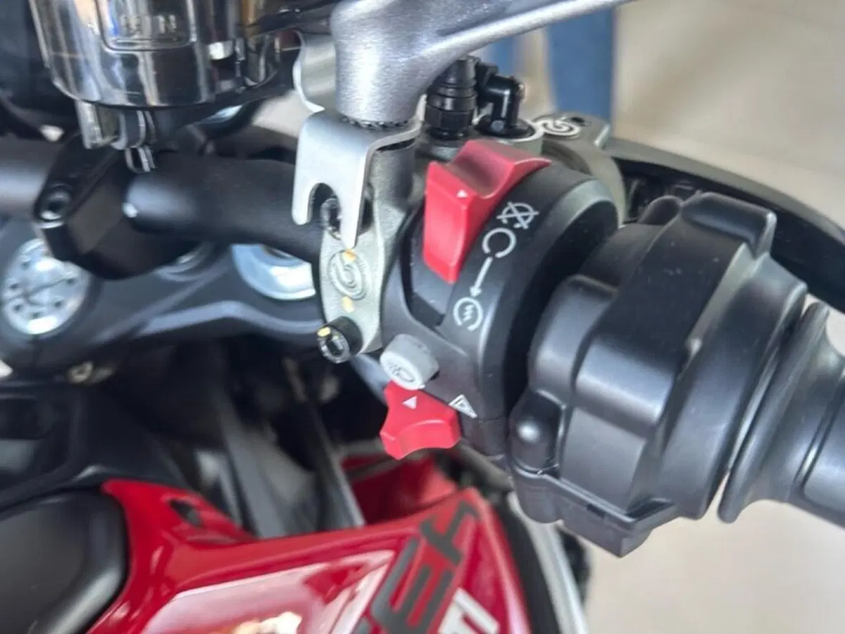 Ducati Monster 937 + (2021 - 25) (9)