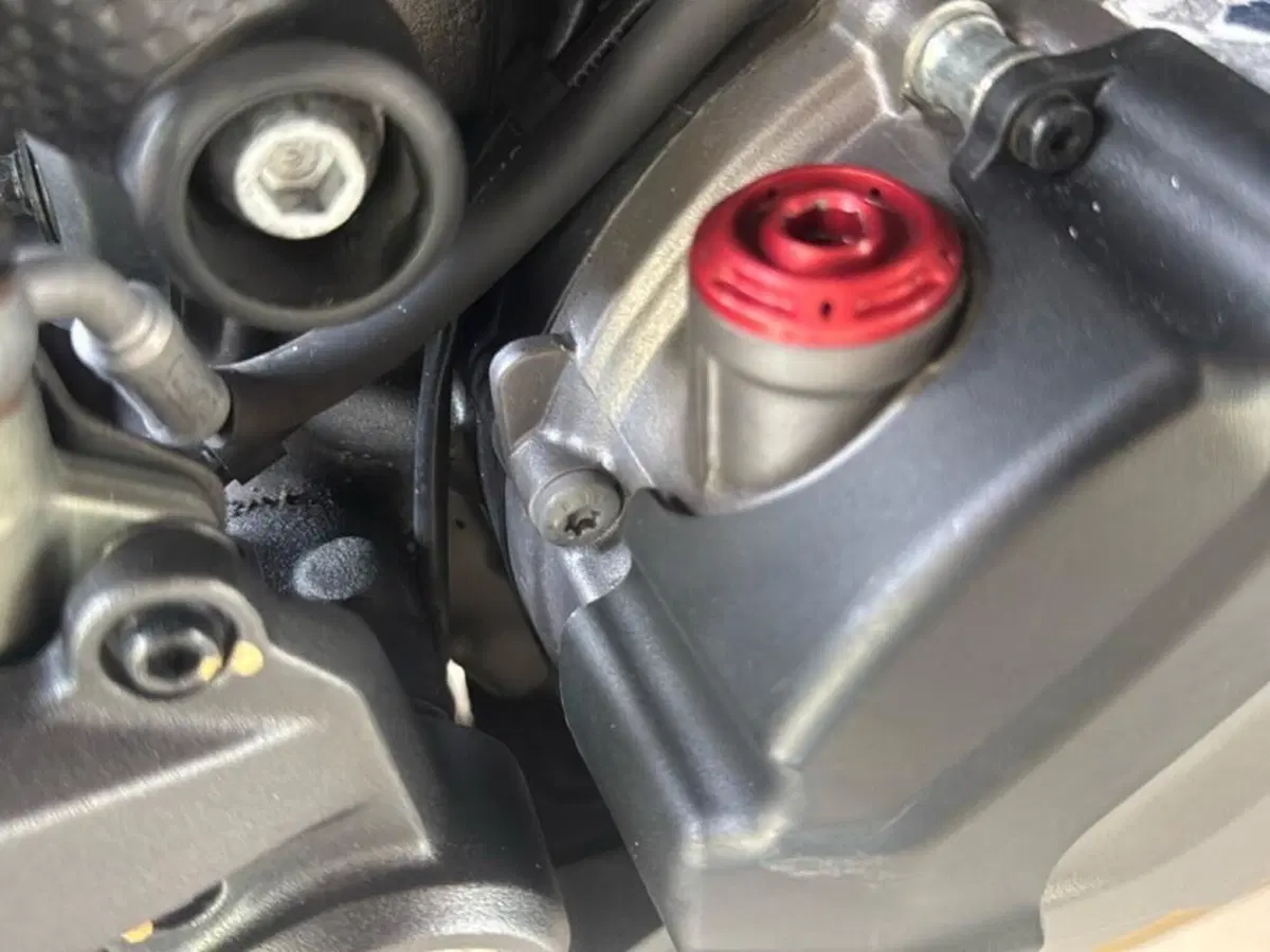 Ducati Monster 937 + (2021 - 25) (8)