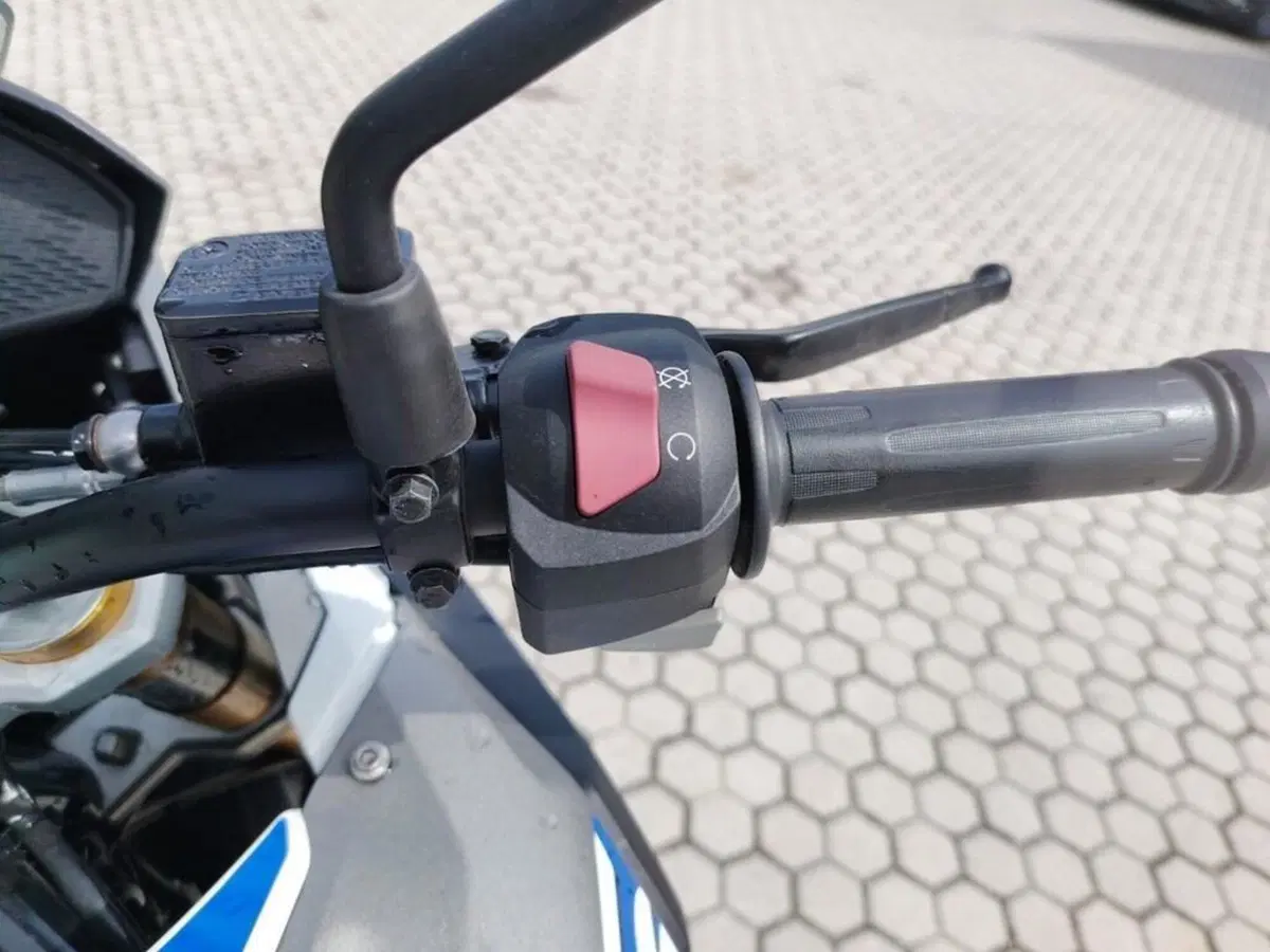 Bmw G 310 GS (2017 - 20) (9)