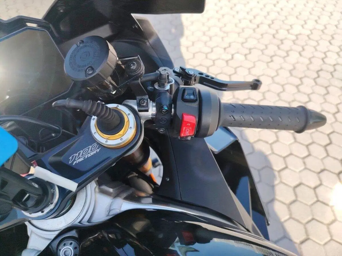 Aprilia RSV4 1100 Factory (2021 - 24) (9)