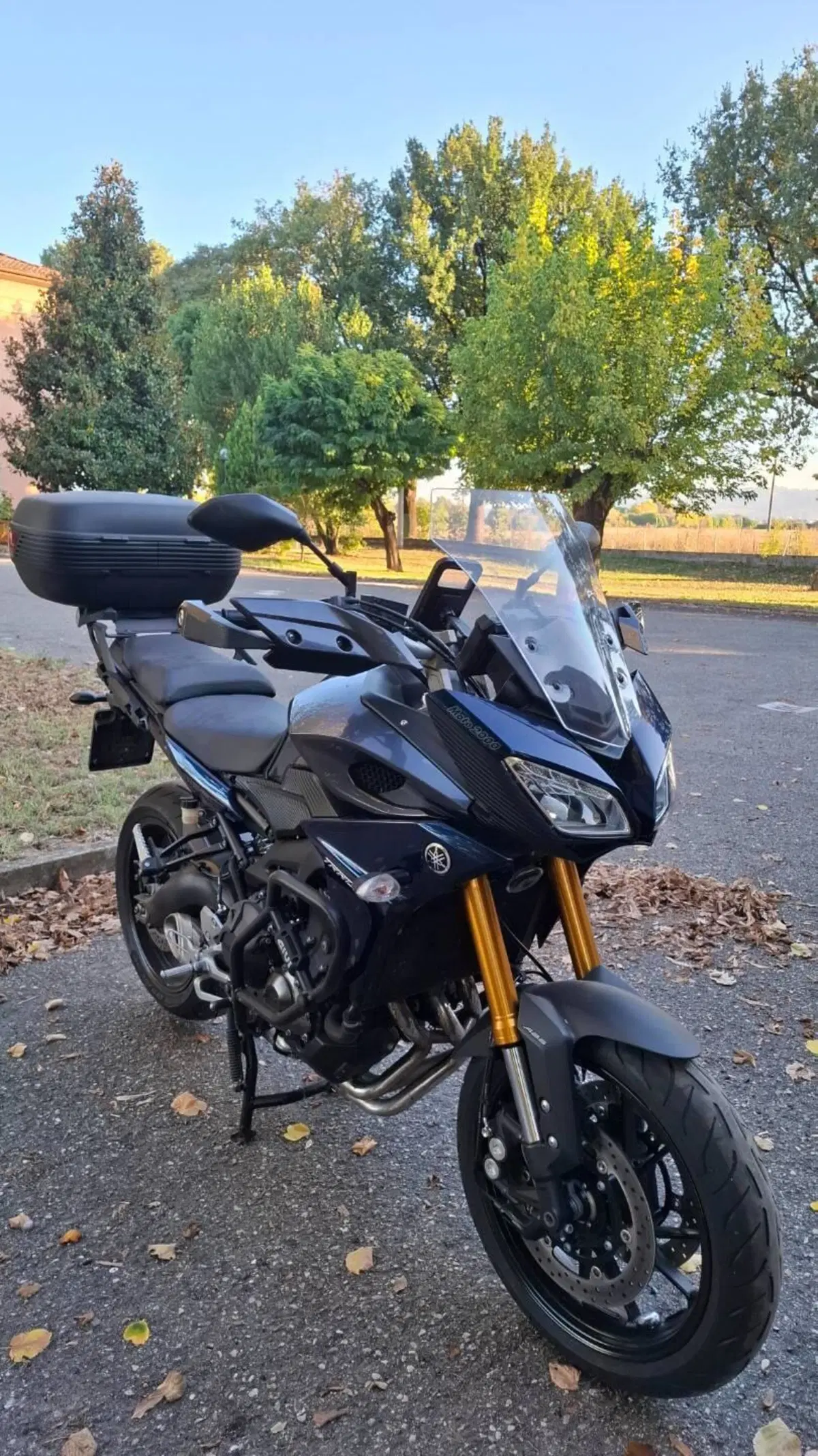 Yamaha Tracer 900 ABS (2015 - 16) (4)