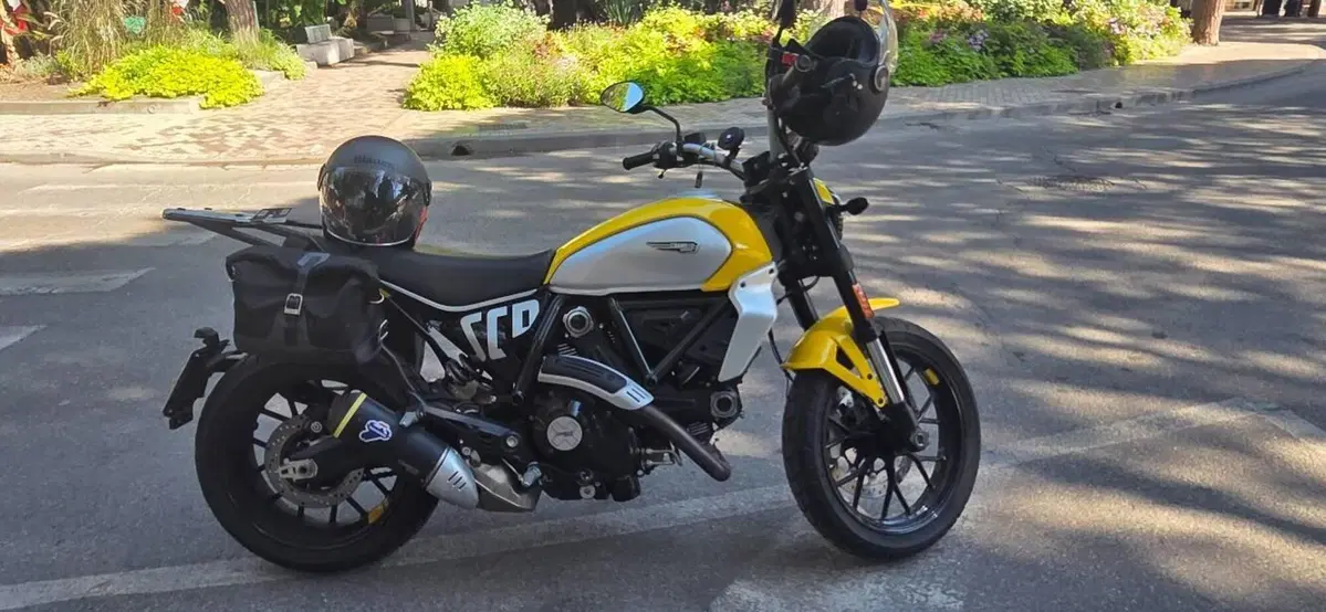 Ducati Scrambler 800 Icon (2023 - 24) (8)