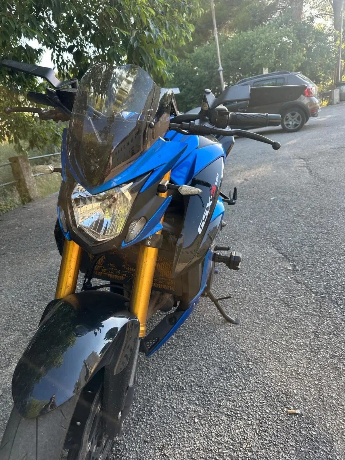 Suzuki GSX S 750 Z ABS (2017 - 20) (8)