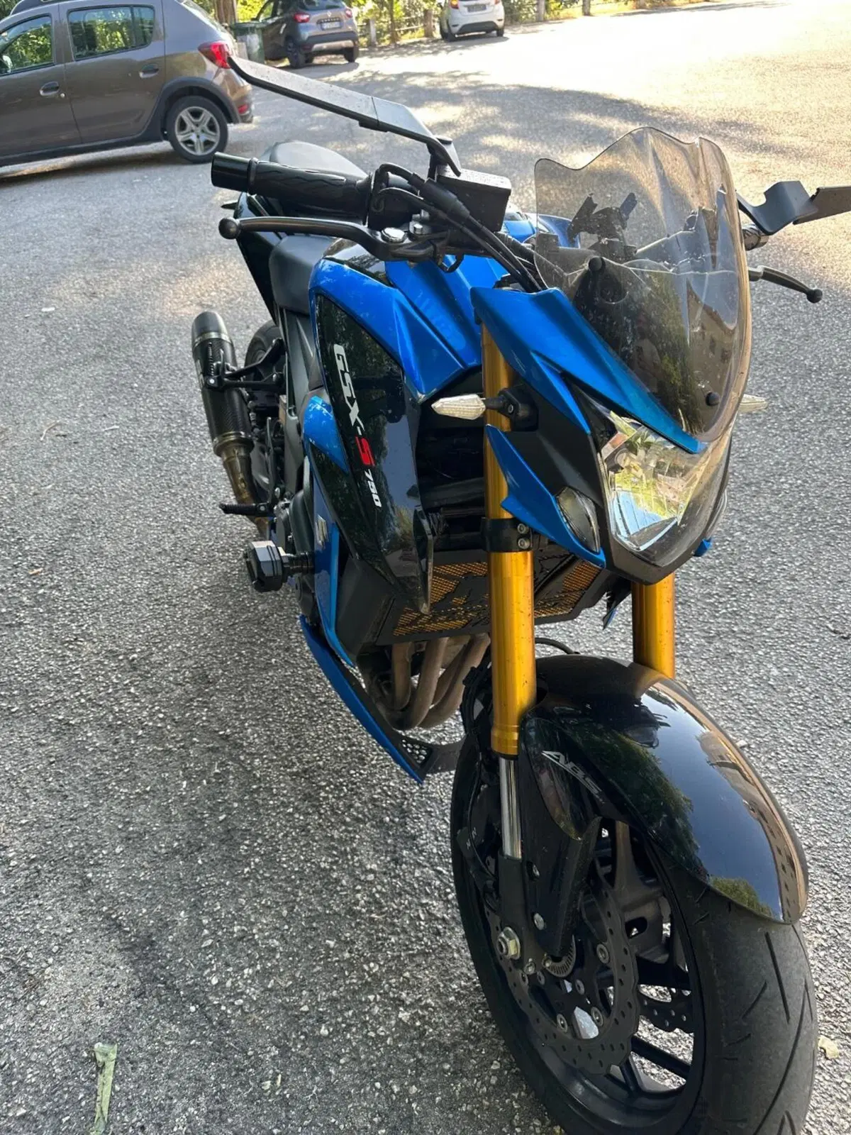 Suzuki GSX S 750 Z ABS (2017 - 20) (9)