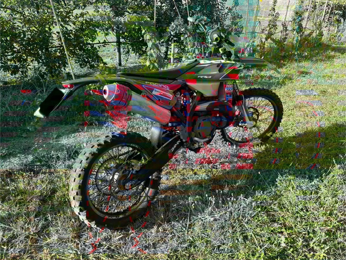 Betamotor RR 300 2T Enduro Racing (2020)