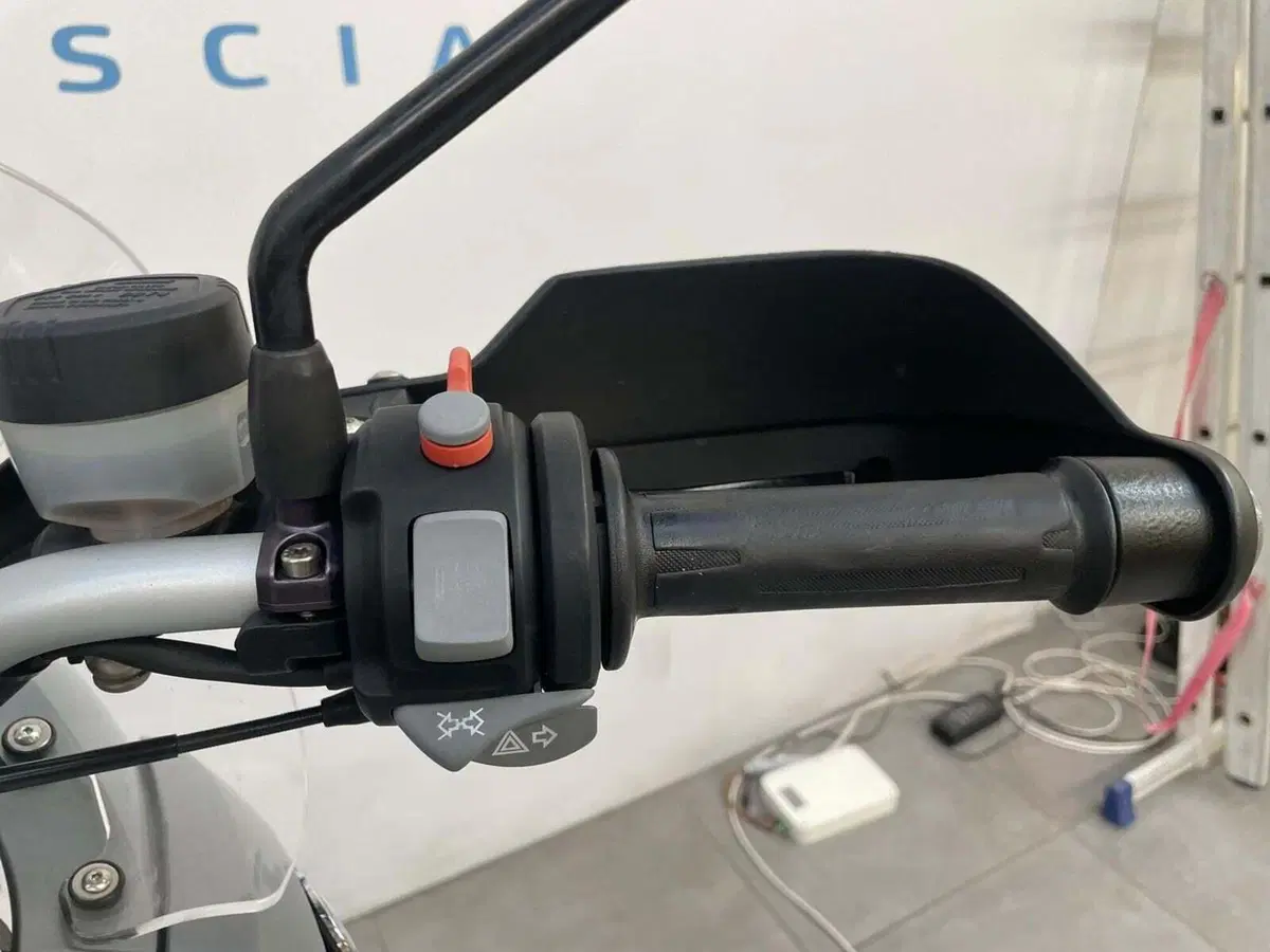 Bmw R 1200 GS (2008 - 09) (10)