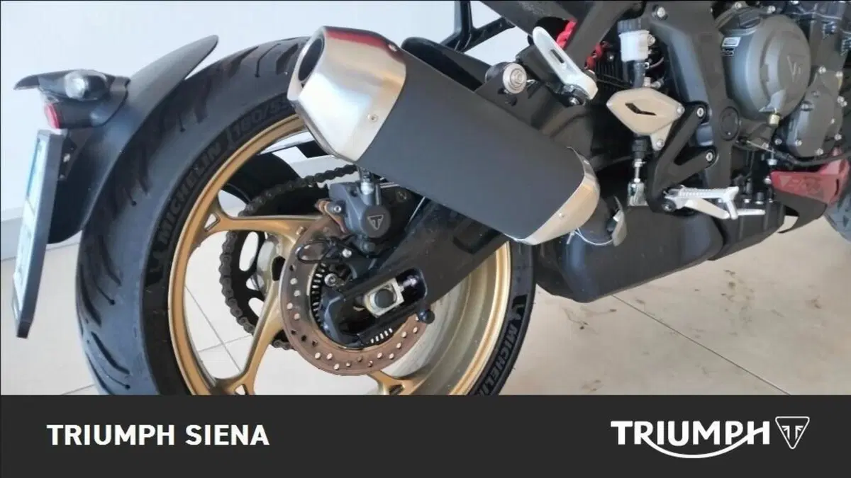 Triumph Trident 800 (2026) (3)