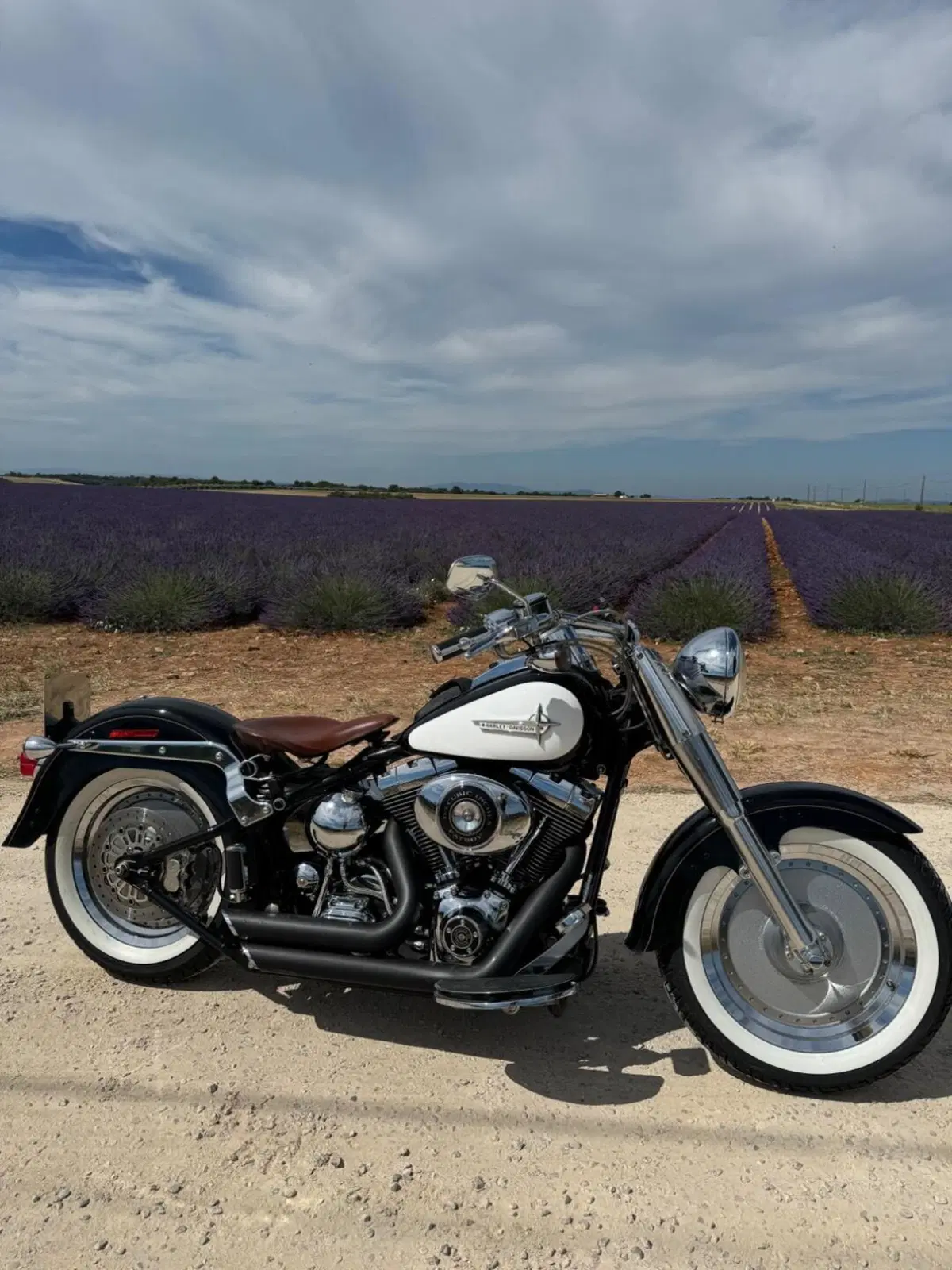 Harley-Davidson 1550 Fat Boy 15th Anniversary (2005) - FLSTFIAE (3)