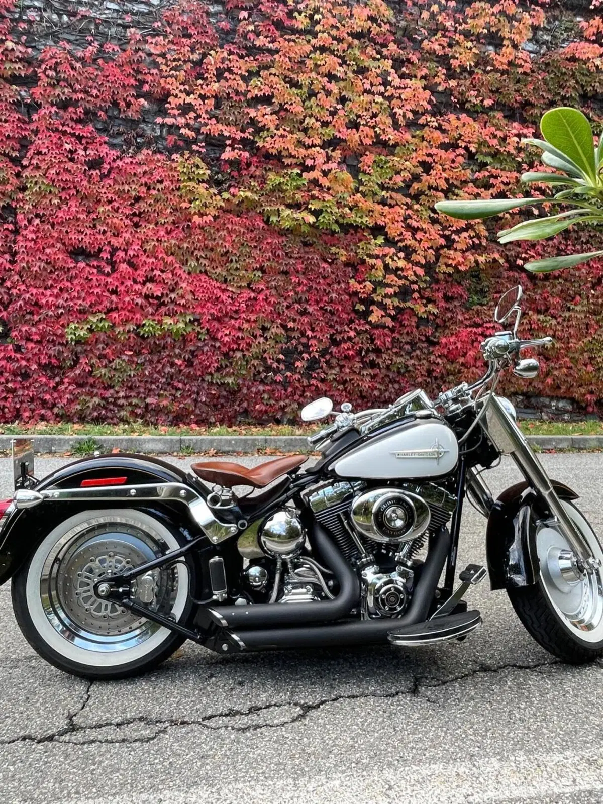 Harley-Davidson 1550 Fat Boy 15th Anniversary (2005) - FLSTFIAE
