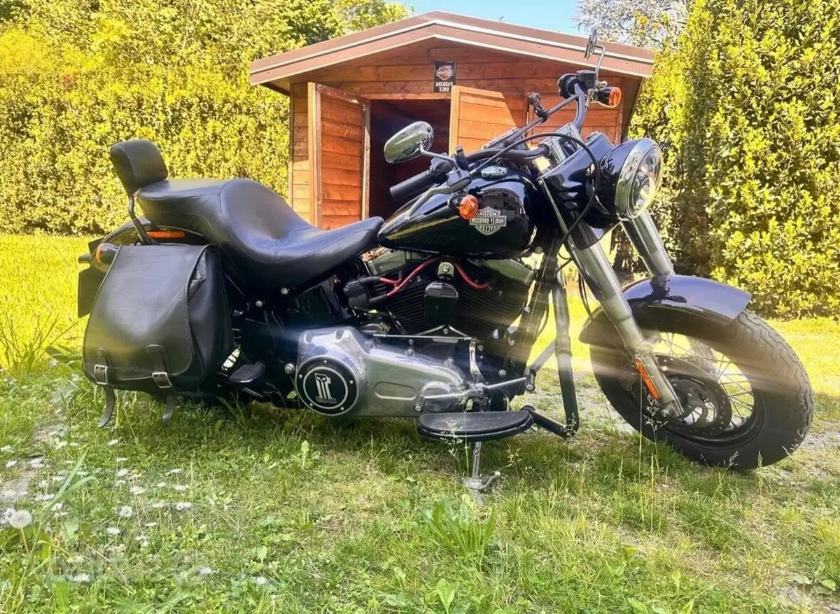 Harley-Davidson 1690 Slim (2017) - FLS (2)