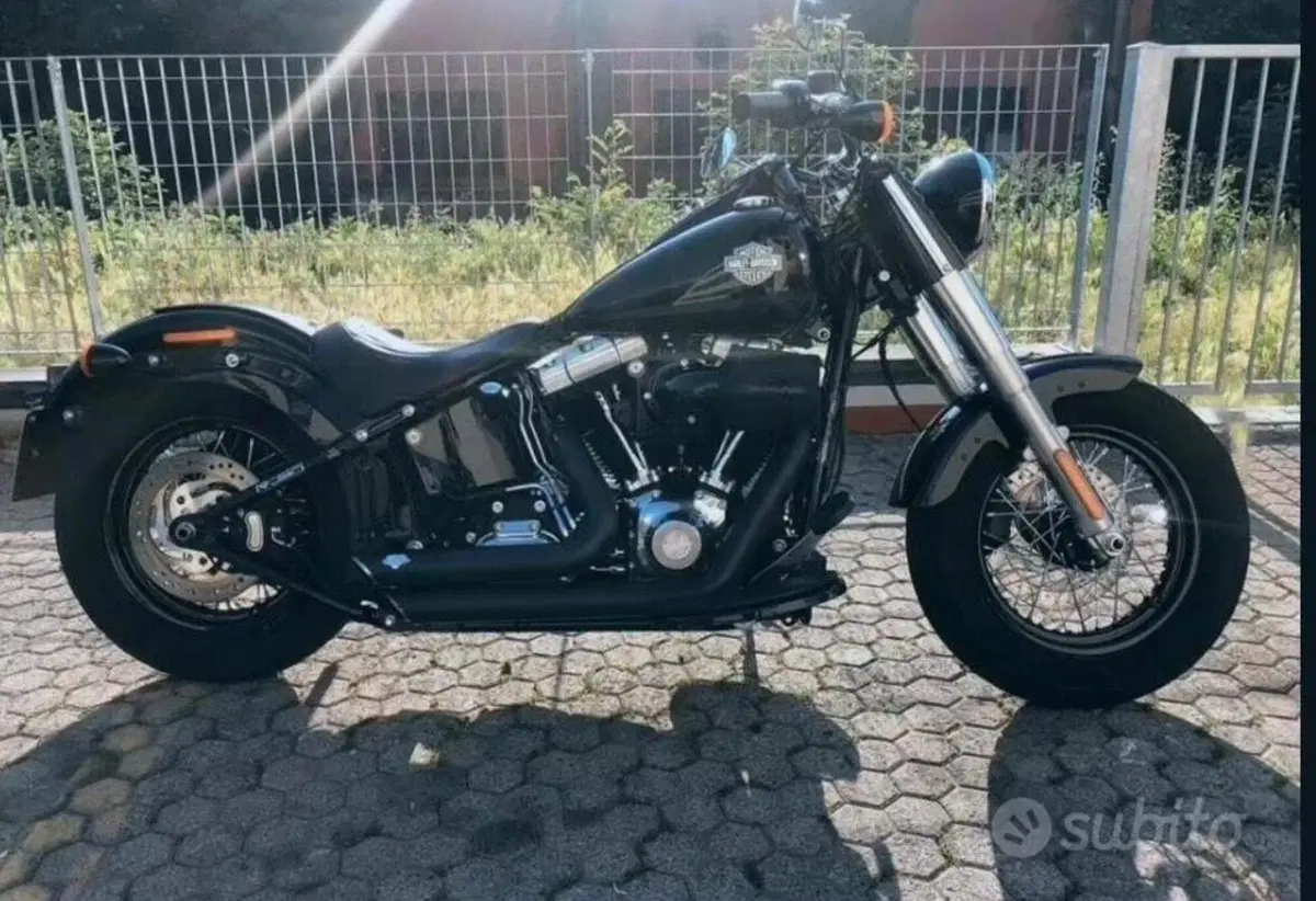 Harley-Davidson 1690 Slim (2017) - FLS (5)