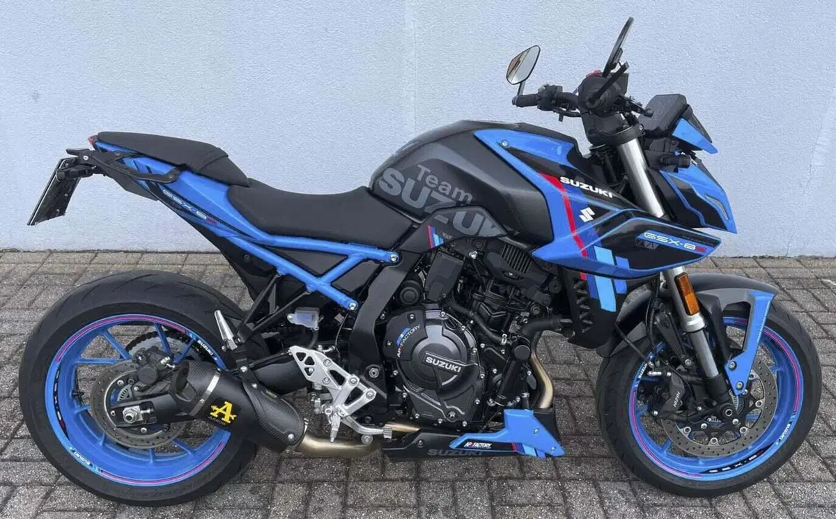 Suzuki GSX-8S (2023 - 24) (2)