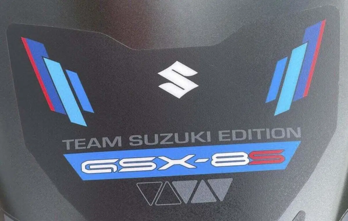 Suzuki GSX-8S (2023 - 24) (14)