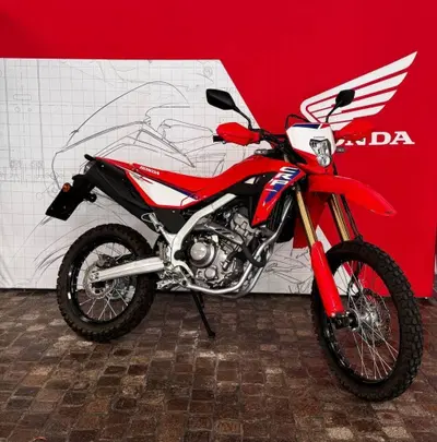 Honda CRF 300L (2025 - 26) usata