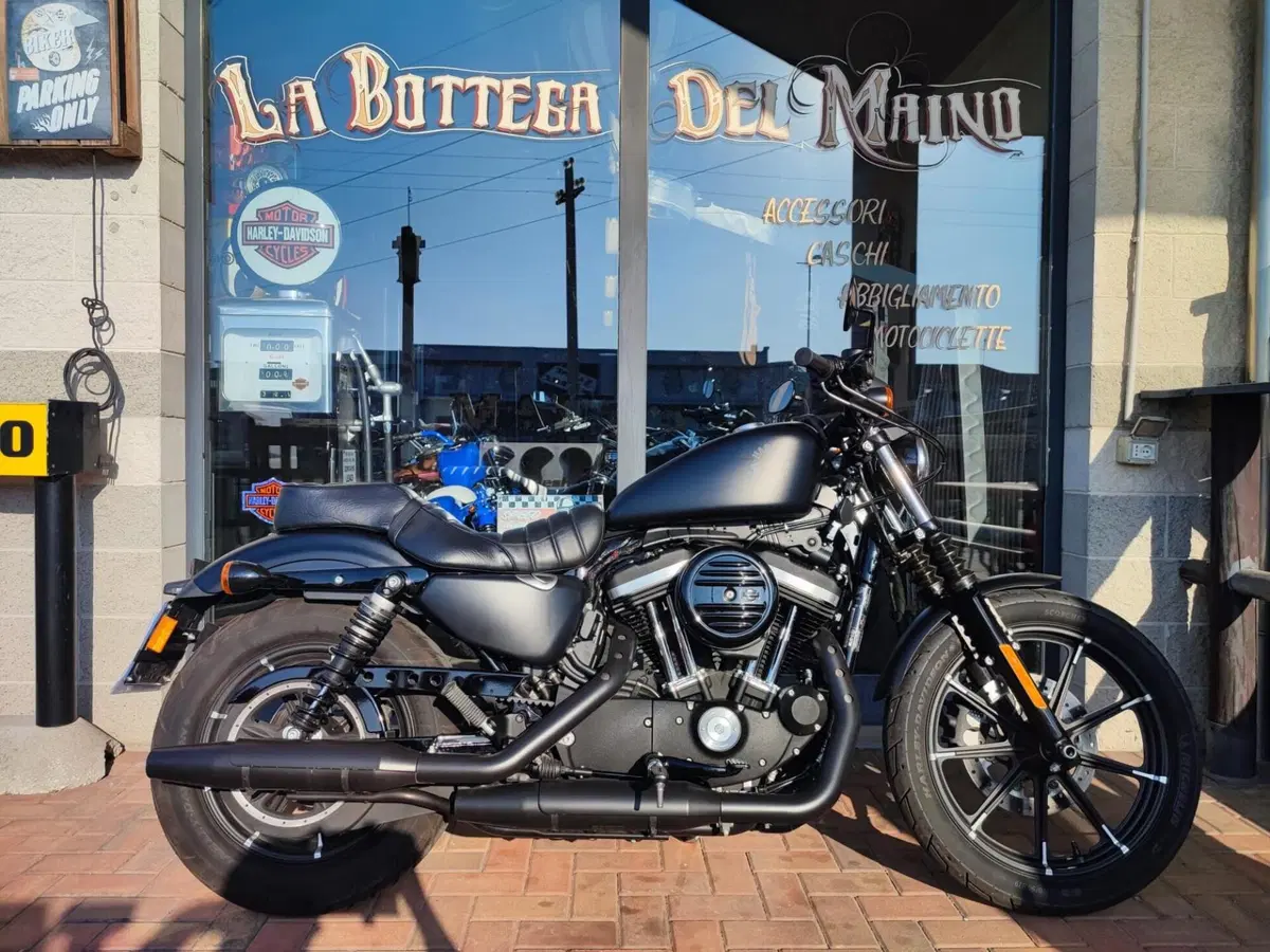 Harley-Davidson 883 Iron (2017 - 20) - XL 883N