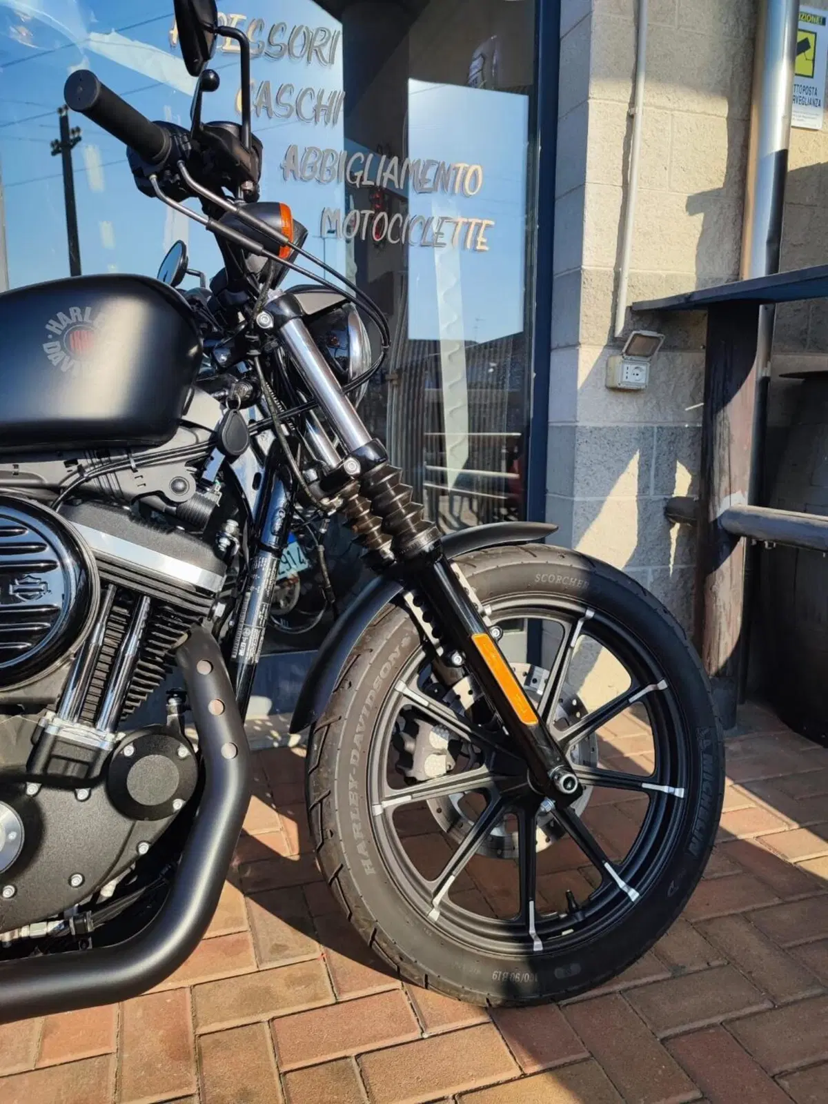 Harley-Davidson 883 Iron (2017 - 20) - XL 883N (3)