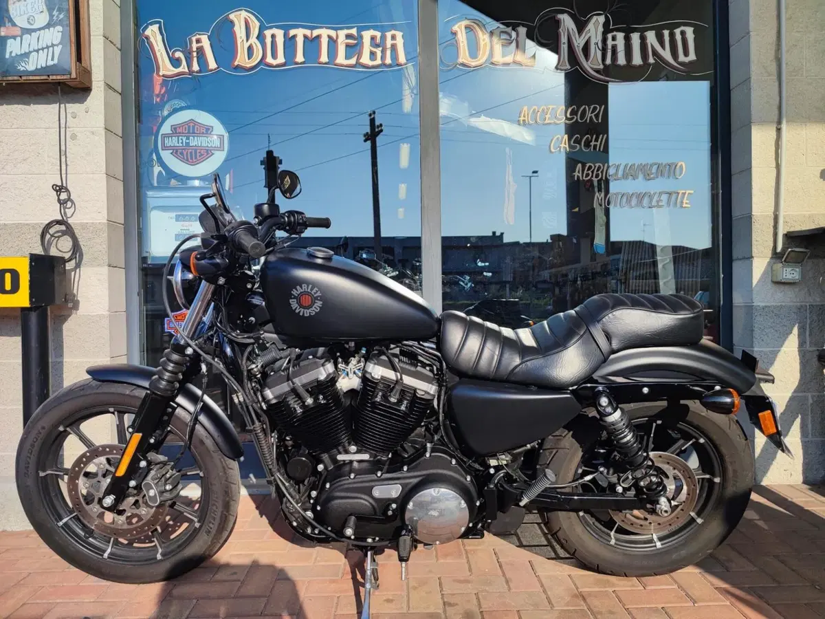 Harley-Davidson 883 Iron (2017 - 20) - XL 883N (5)