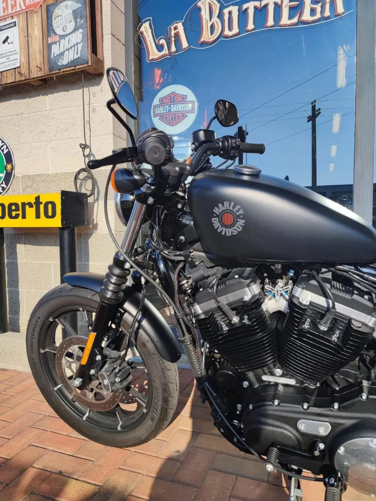 Harley-Davidson 883 Iron (2017 - 20) - XL 883N (6)